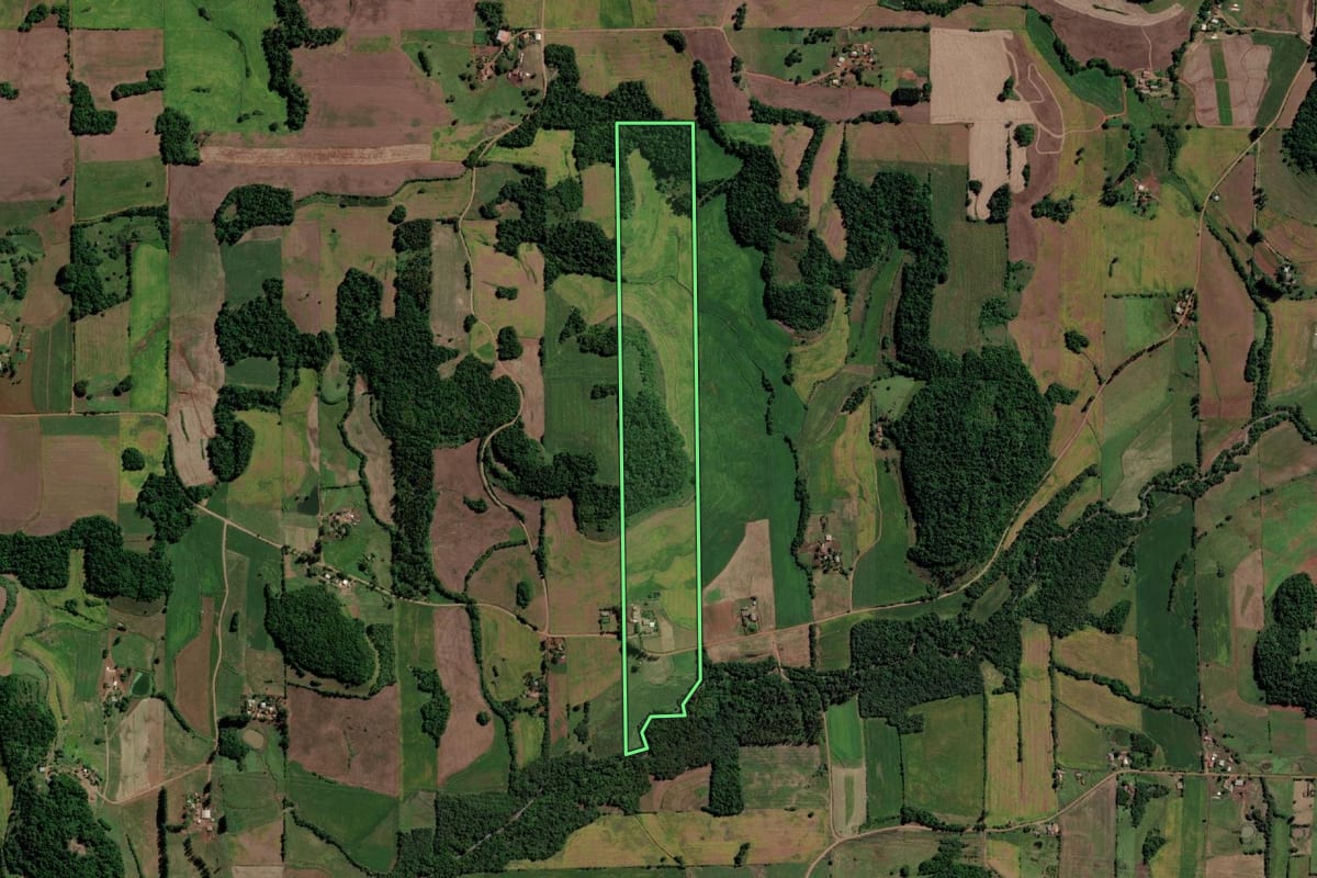Imagem de satélite do imóvel rural em Guarani das Missões (RS), com o contorno declarado no CAR desenhado por cima.