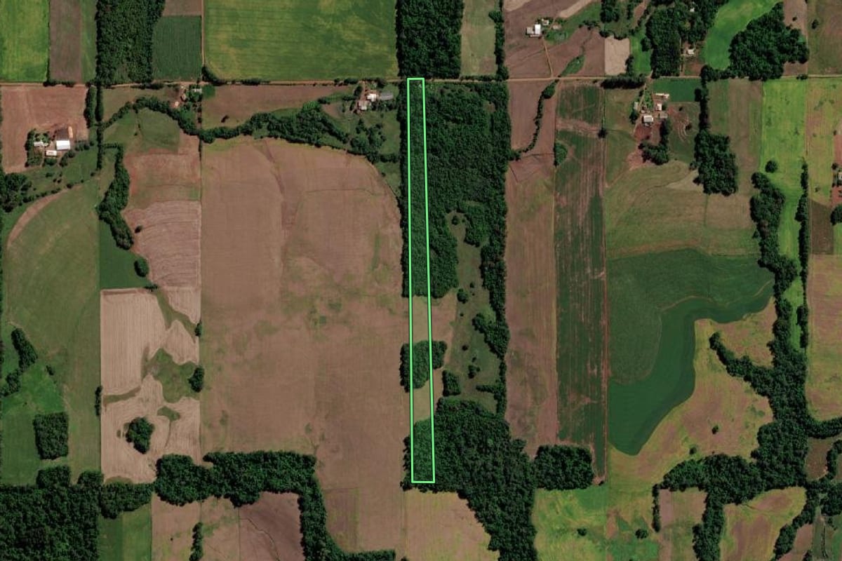 Imagem de satélite do imóvel rural em Guarani das Missões (RS), com o contorno declarado no CAR desenhado por cima.