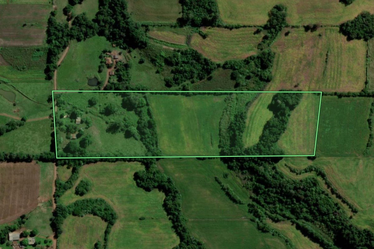 Imagem de satélite do imóvel rural em Guarani das Missões (RS), com o contorno declarado no CAR desenhado por cima.