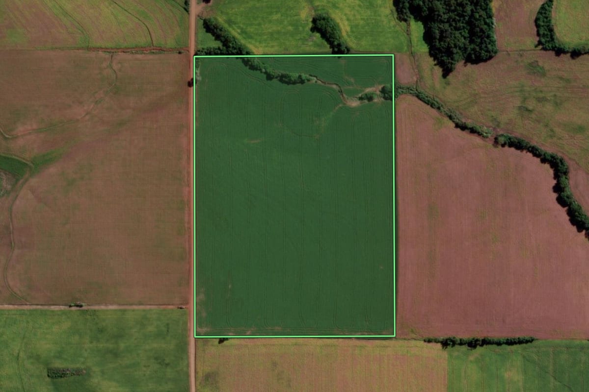 Imagem de satélite do imóvel rural em Guarani das Missões (RS), com o contorno declarado no CAR desenhado por cima.
