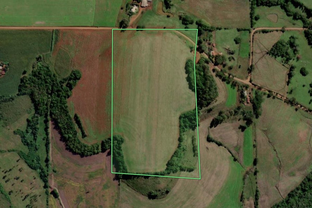 Imagem de satélite do imóvel rural em Guarani das Missões (RS), com o contorno declarado no CAR desenhado por cima.