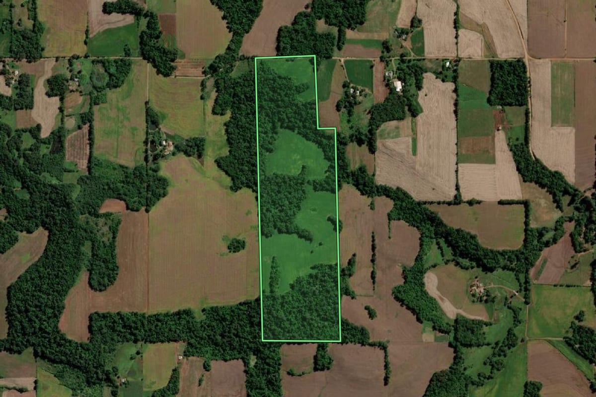 Imagem de satélite do imóvel rural em Guarani das Missões (RS), com o contorno declarado no CAR desenhado por cima.