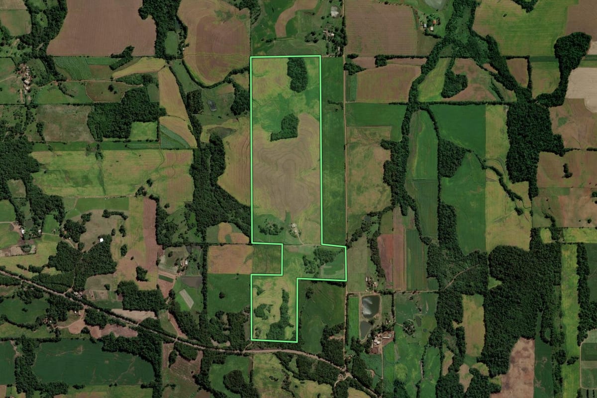 Imagem de satélite do imóvel rural em Guarani das Missões (RS), com o contorno declarado no CAR desenhado por cima.