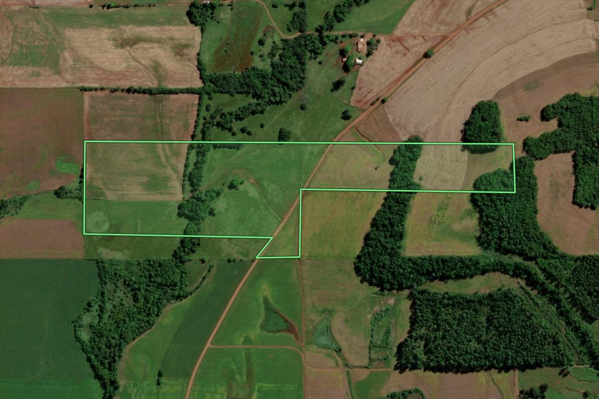 Imagem de satélite do imóvel rural em Guarani das Missões (RS), com o contorno declarado no CAR desenhado por cima.