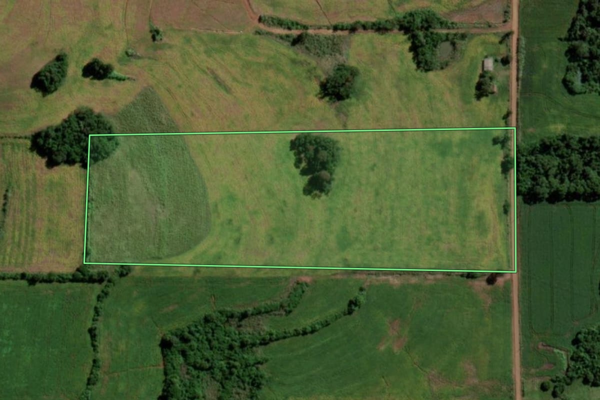 Imagem de satélite do imóvel rural em Guarani das Missões (RS), com o contorno declarado no CAR desenhado por cima.