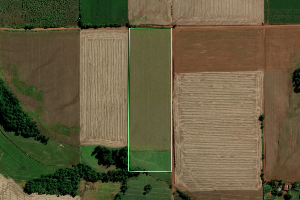 Imagem de satélite do imóvel rural em Guarani das Missões (RS), com o contorno declarado no CAR desenhado por cima.