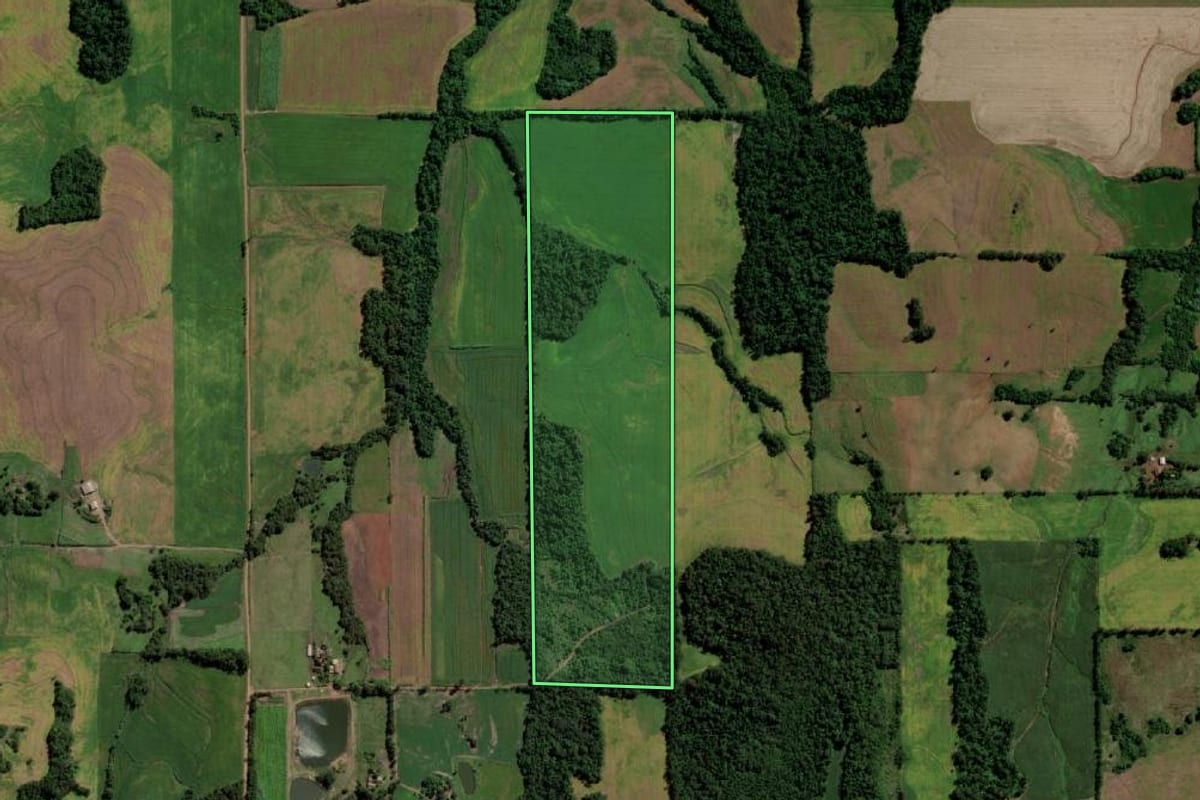 Imagem de satélite do imóvel rural em Guarani das Missões (RS), com o contorno declarado no CAR desenhado por cima.