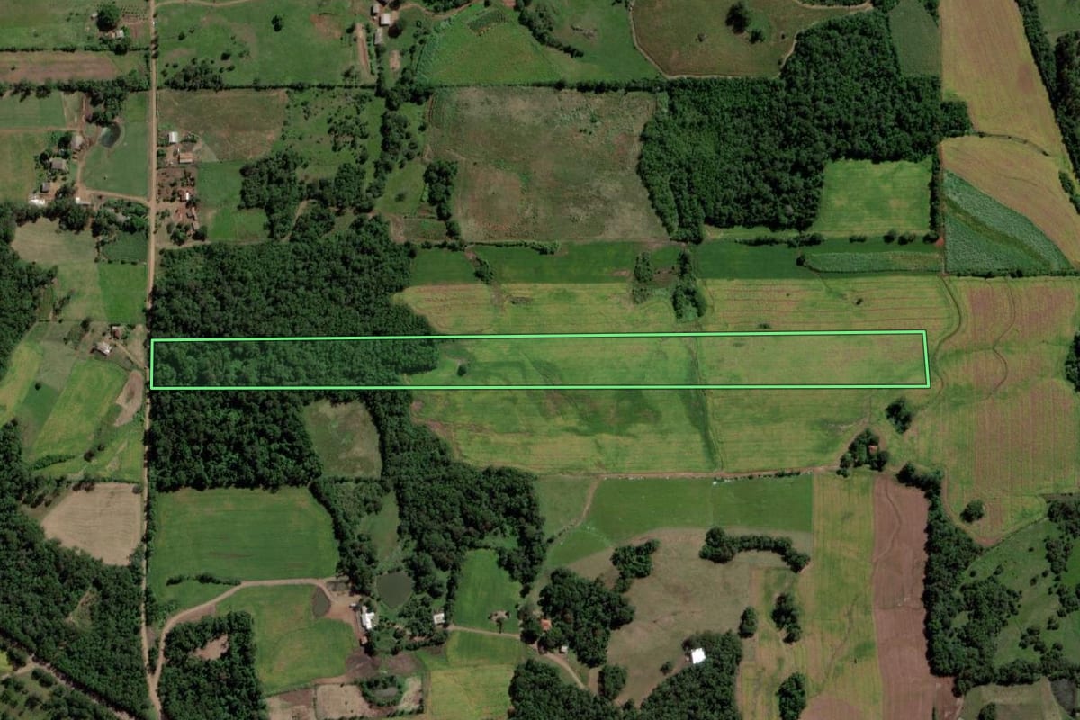 Imagem de satélite do imóvel rural em Guarani das Missões (RS), com o contorno declarado no CAR desenhado por cima.