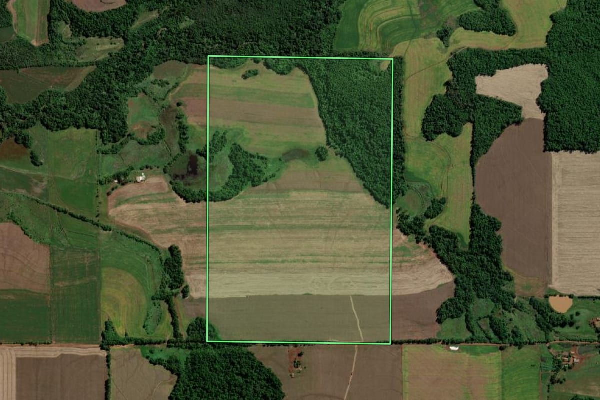 Imagem de satélite do imóvel rural em Guarani das Missões (RS), com o contorno declarado no CAR desenhado por cima.