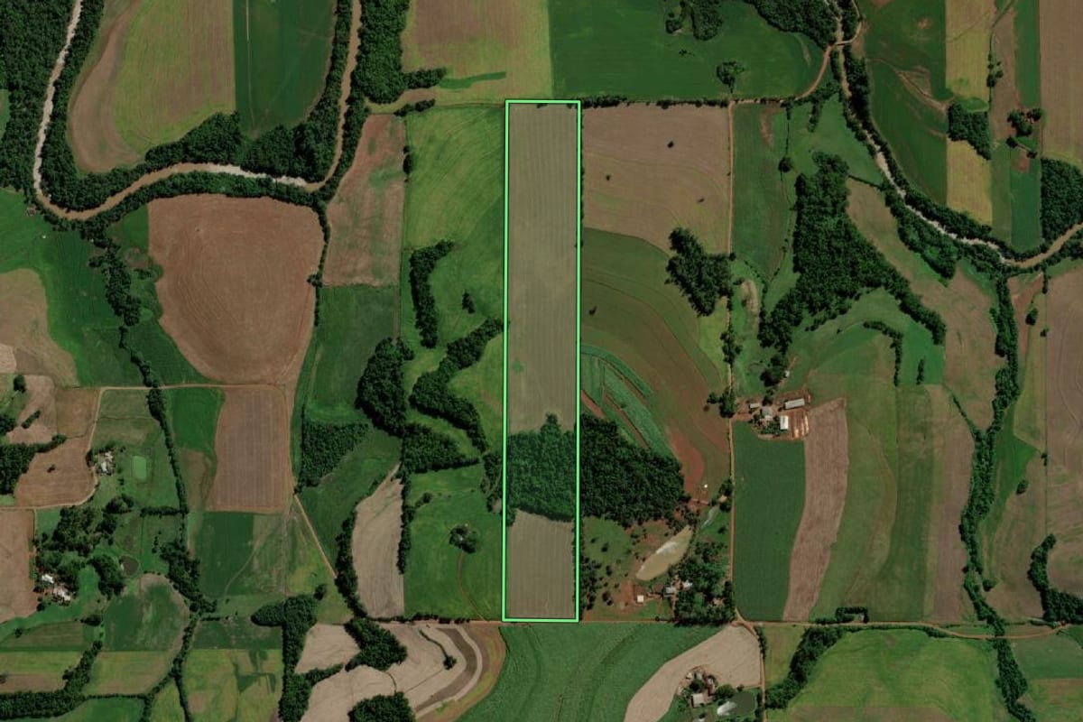 Imagem de satélite do imóvel rural em Guarani das Missões (RS), com o contorno declarado no CAR desenhado por cima.