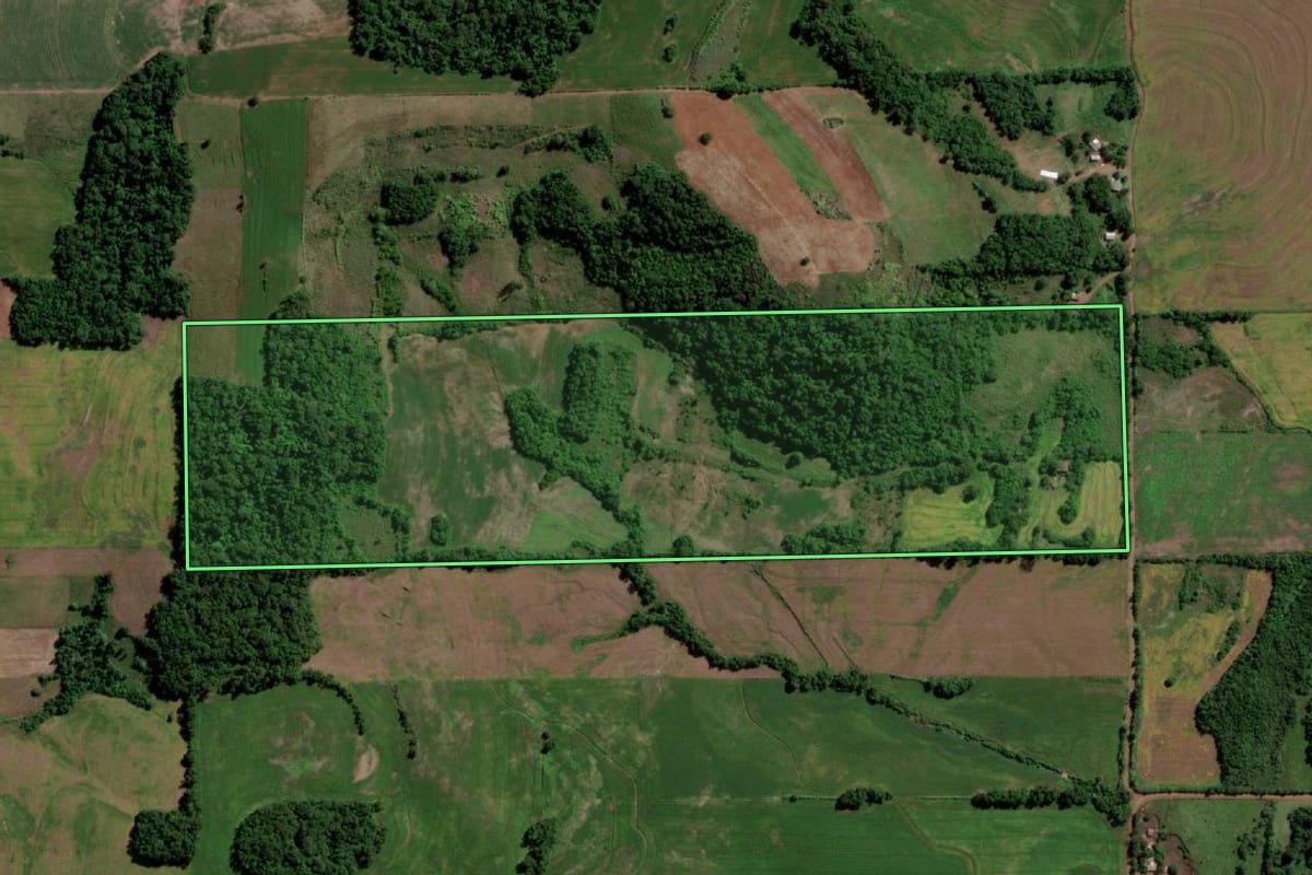 Imagem de satélite do imóvel rural em Guarani das Missões (RS), com o contorno declarado no CAR desenhado por cima.