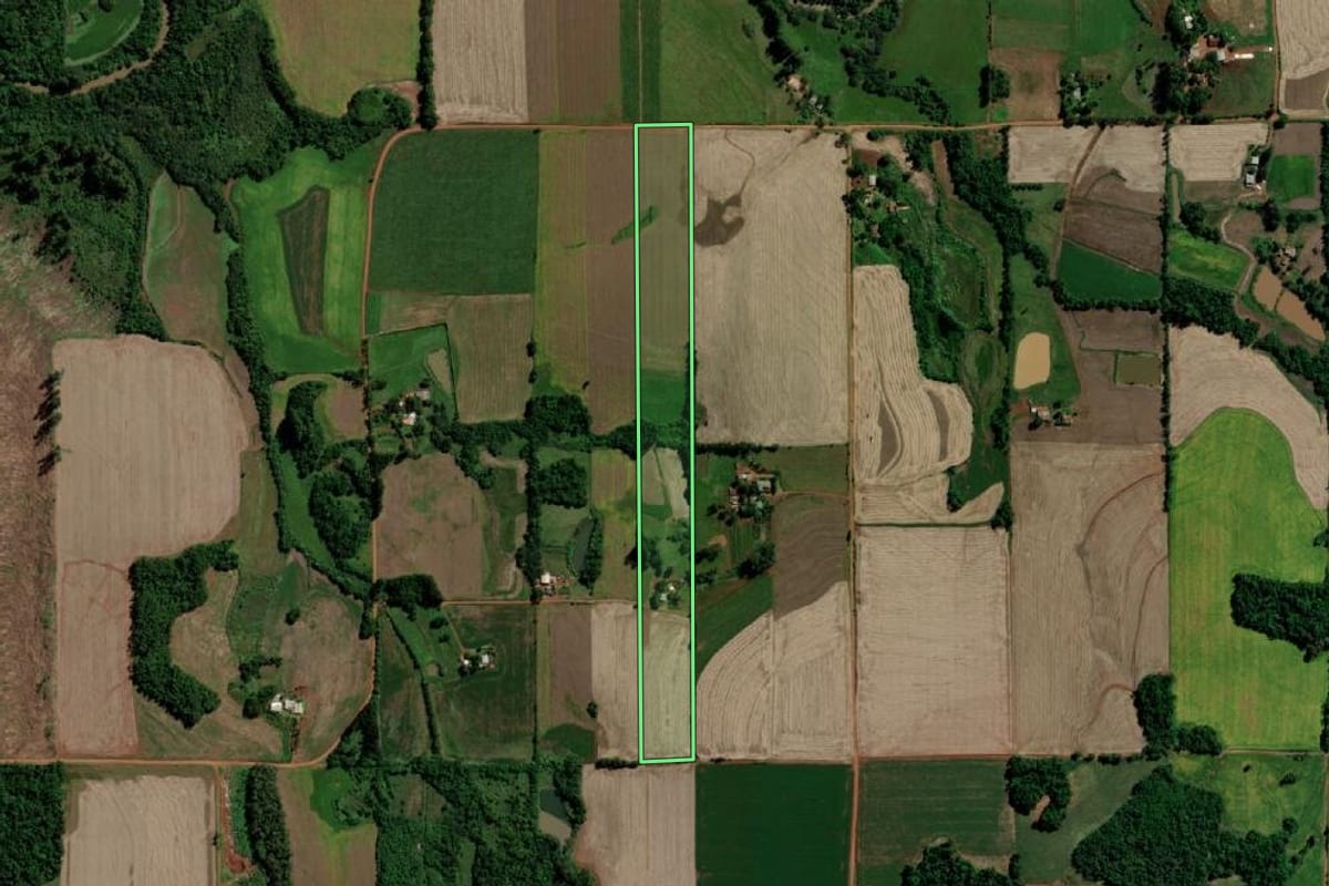 Imagem de satélite do imóvel rural em Guarani das Missões (RS), com o contorno declarado no CAR desenhado por cima.
