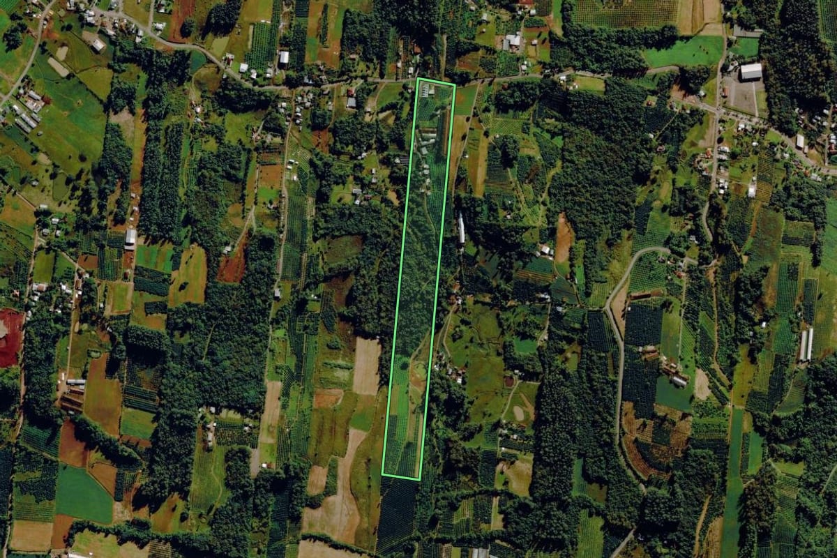 Imagem de satélite do imóvel rural em Harmonia (RS), com o contorno declarado no CAR desenhado por cima.