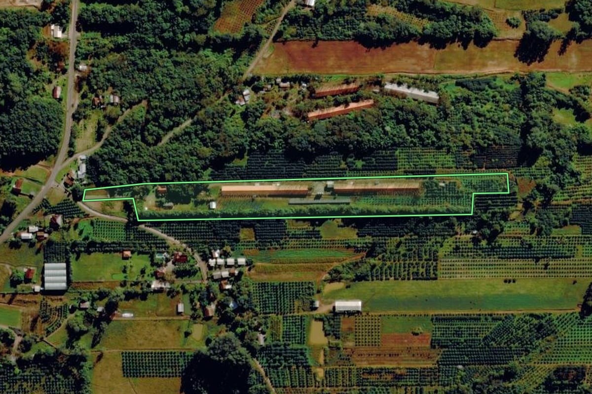 Imagem de satélite do imóvel rural em Harmonia (RS), com o contorno declarado no CAR desenhado por cima.