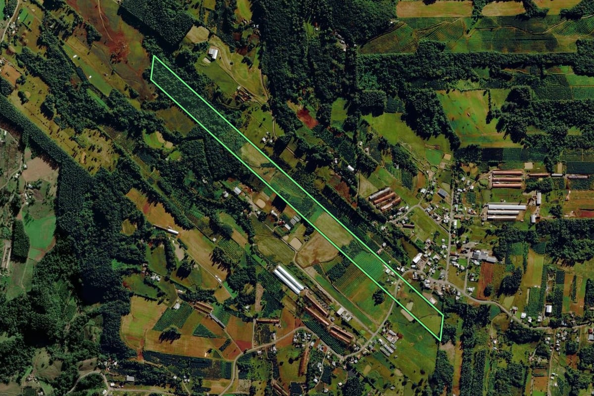 Imagem de satélite do imóvel rural em Harmonia (RS), com o contorno declarado no CAR desenhado por cima.