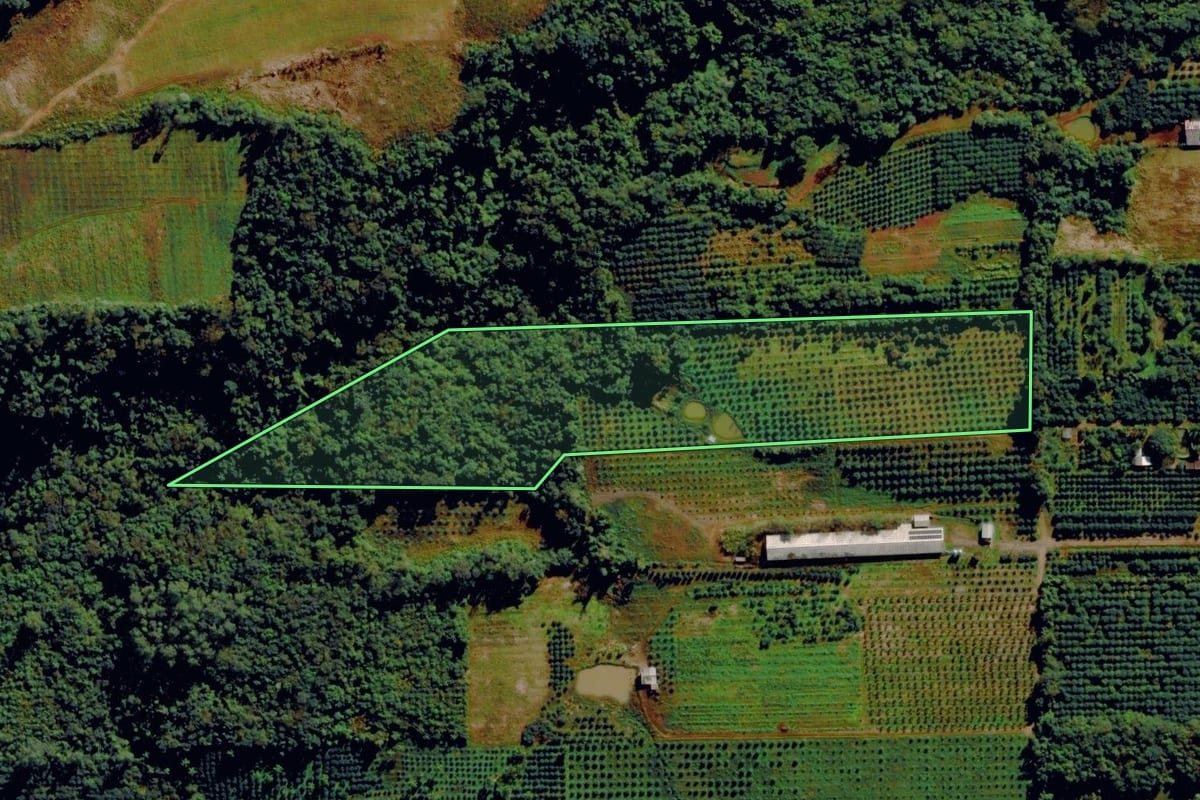 Imagem de satélite do imóvel rural em Harmonia (RS), com o contorno declarado no CAR desenhado por cima.