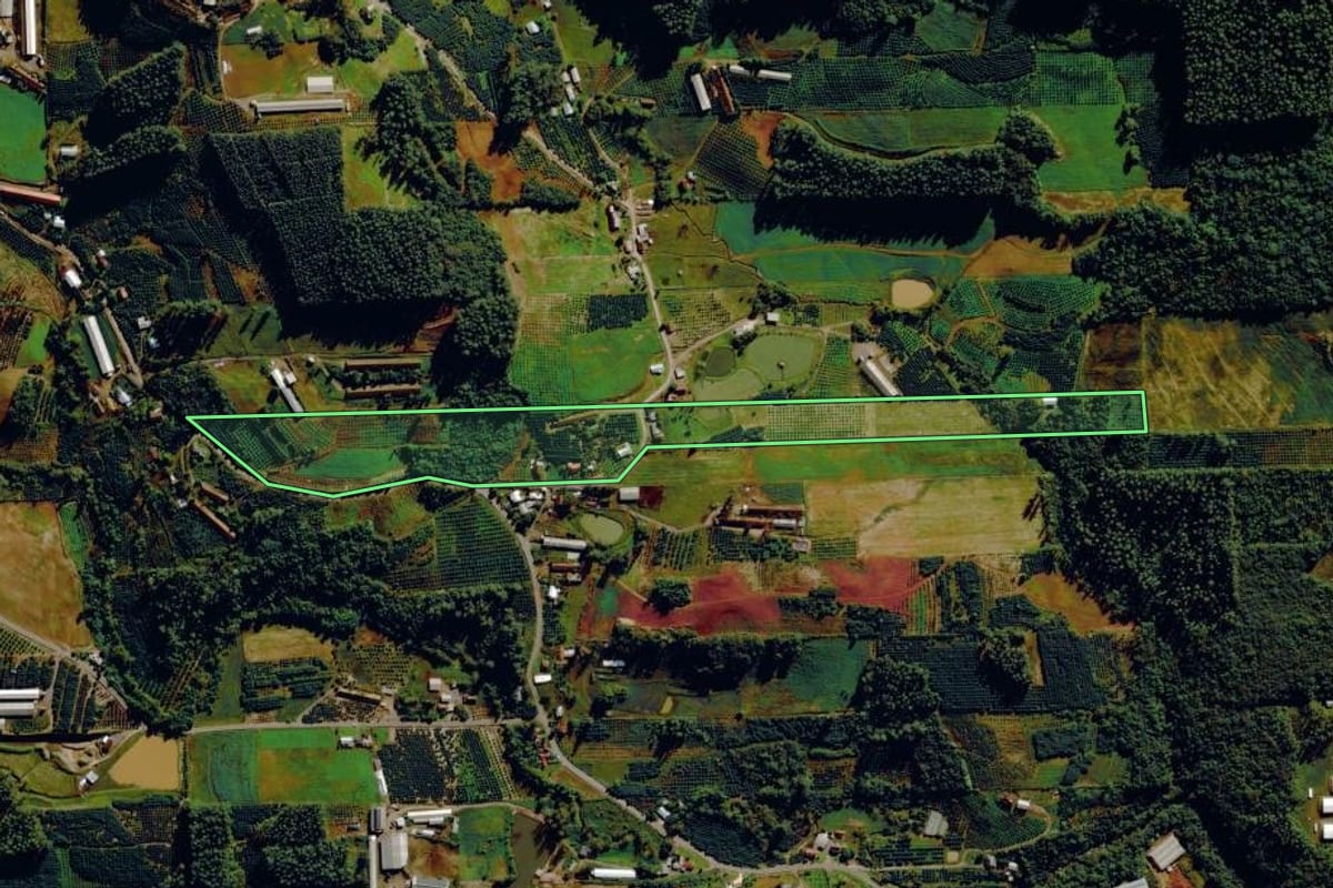 Imagem de satélite do imóvel rural em Harmonia (RS), com o contorno declarado no CAR desenhado por cima.