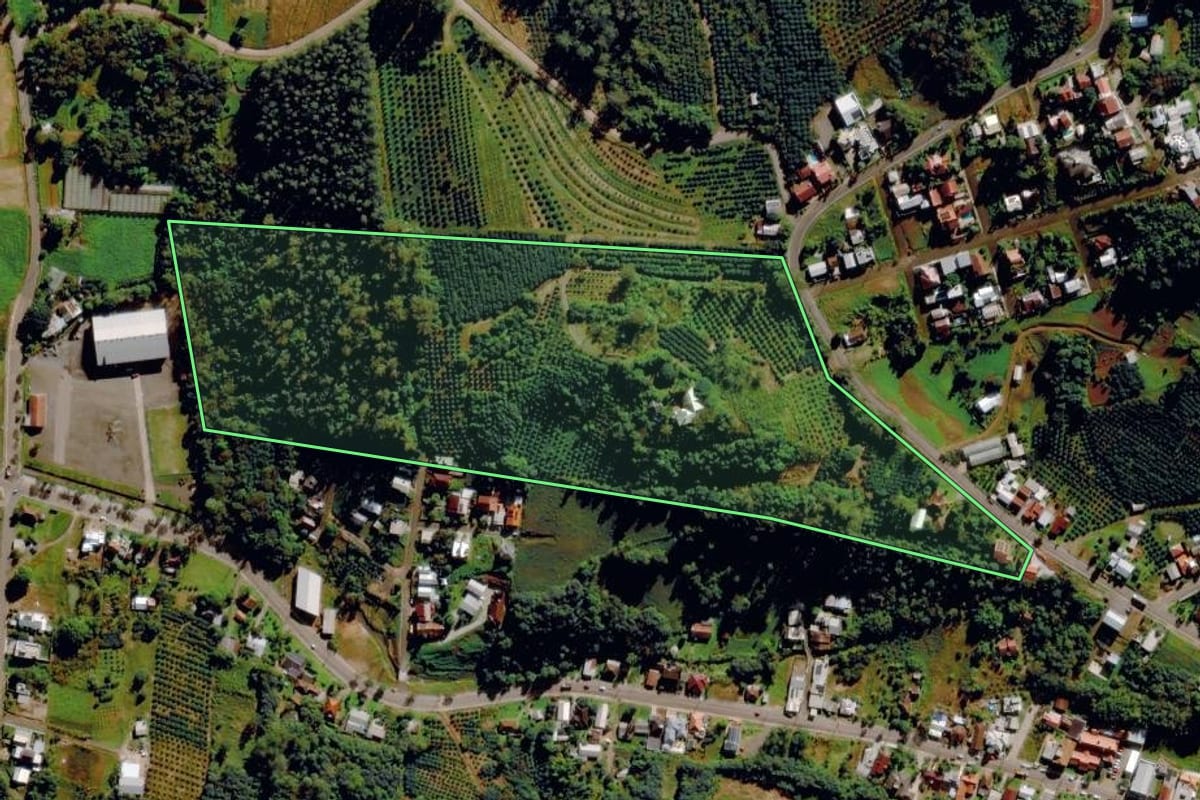 Imagem de satélite do imóvel rural em Harmonia (RS), com o contorno declarado no CAR desenhado por cima.