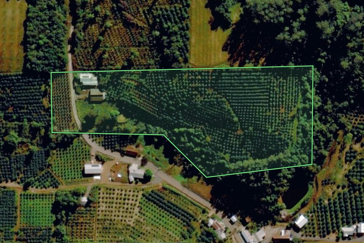 Imagem de satélite do imóvel rural em Harmonia (RS), com o contorno declarado no CAR desenhado por cima.