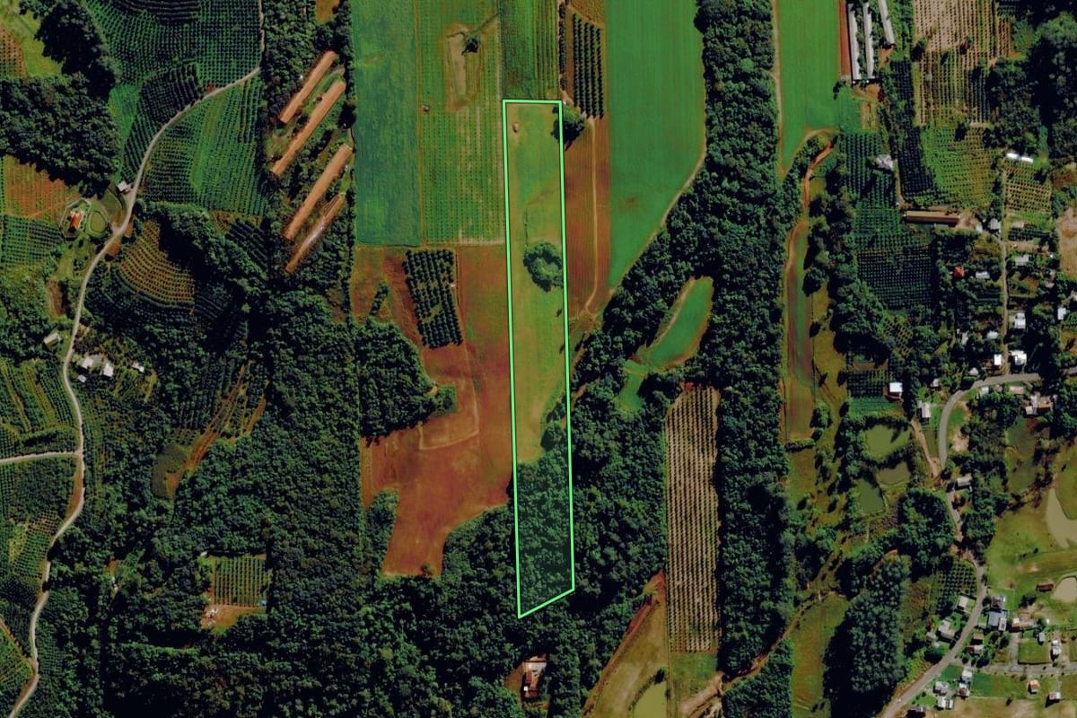 Imagem de satélite do imóvel rural em Harmonia (RS), com o contorno declarado no CAR desenhado por cima.