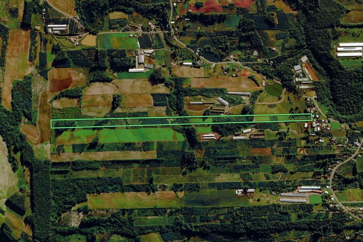 Imagem de satélite do imóvel rural em Harmonia (RS), com o contorno declarado no CAR desenhado por cima.