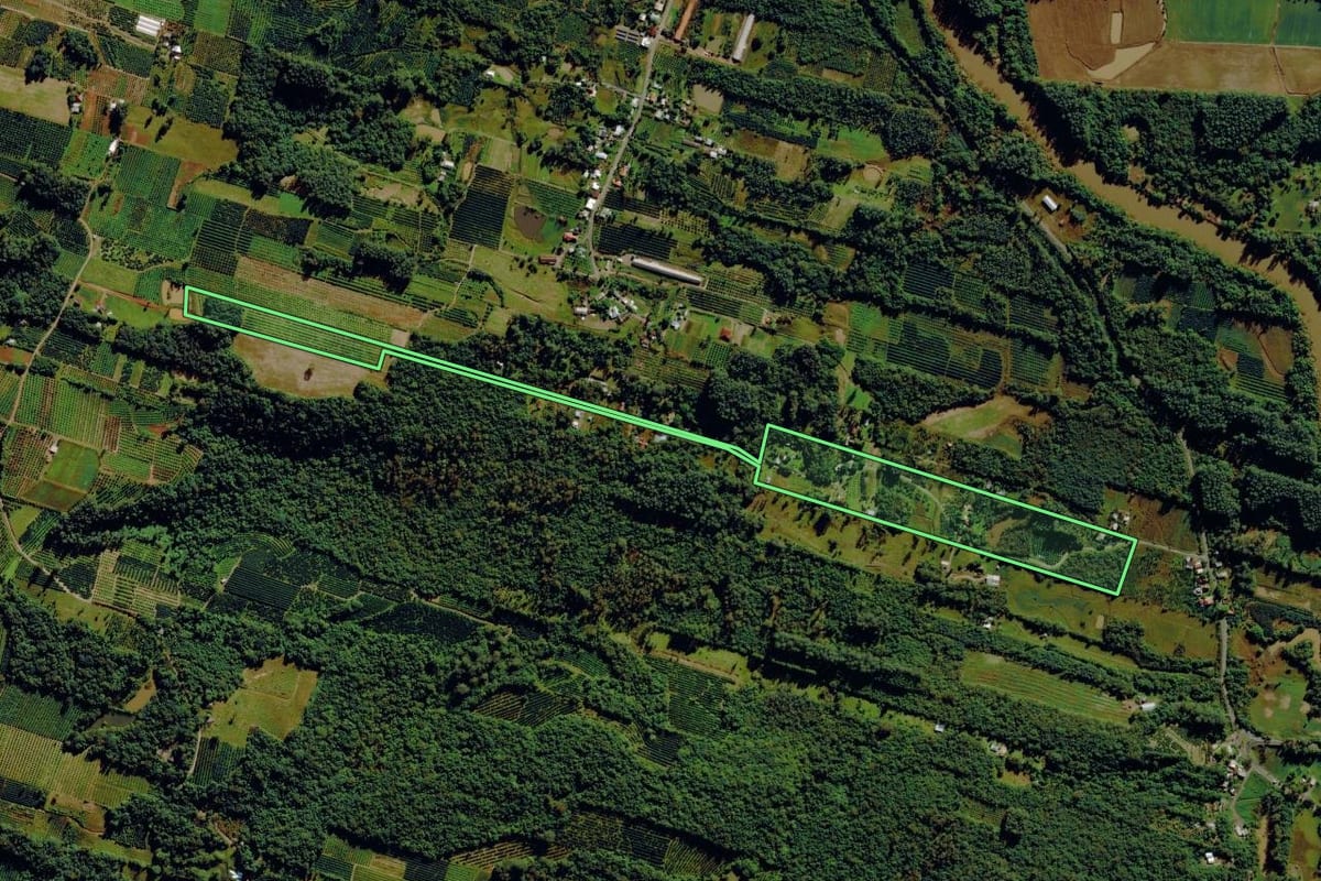 Imagem de satélite do imóvel rural em Harmonia (RS), com o contorno declarado no CAR desenhado por cima.