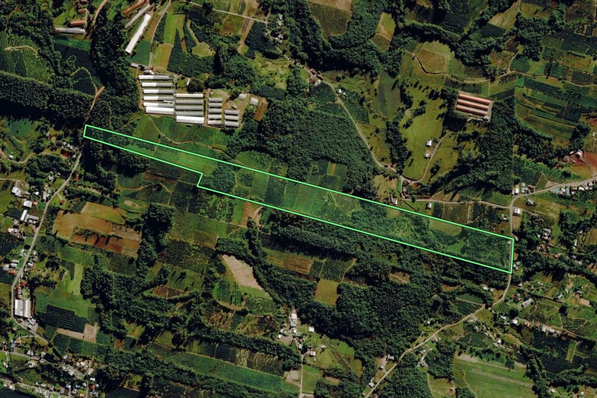 Imagem de satélite do imóvel rural em Harmonia (RS), com o contorno declarado no CAR desenhado por cima.