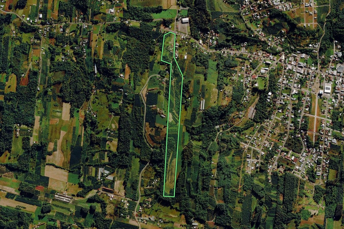 Imagem de satélite do imóvel rural em Harmonia (RS), com o contorno declarado no CAR desenhado por cima.