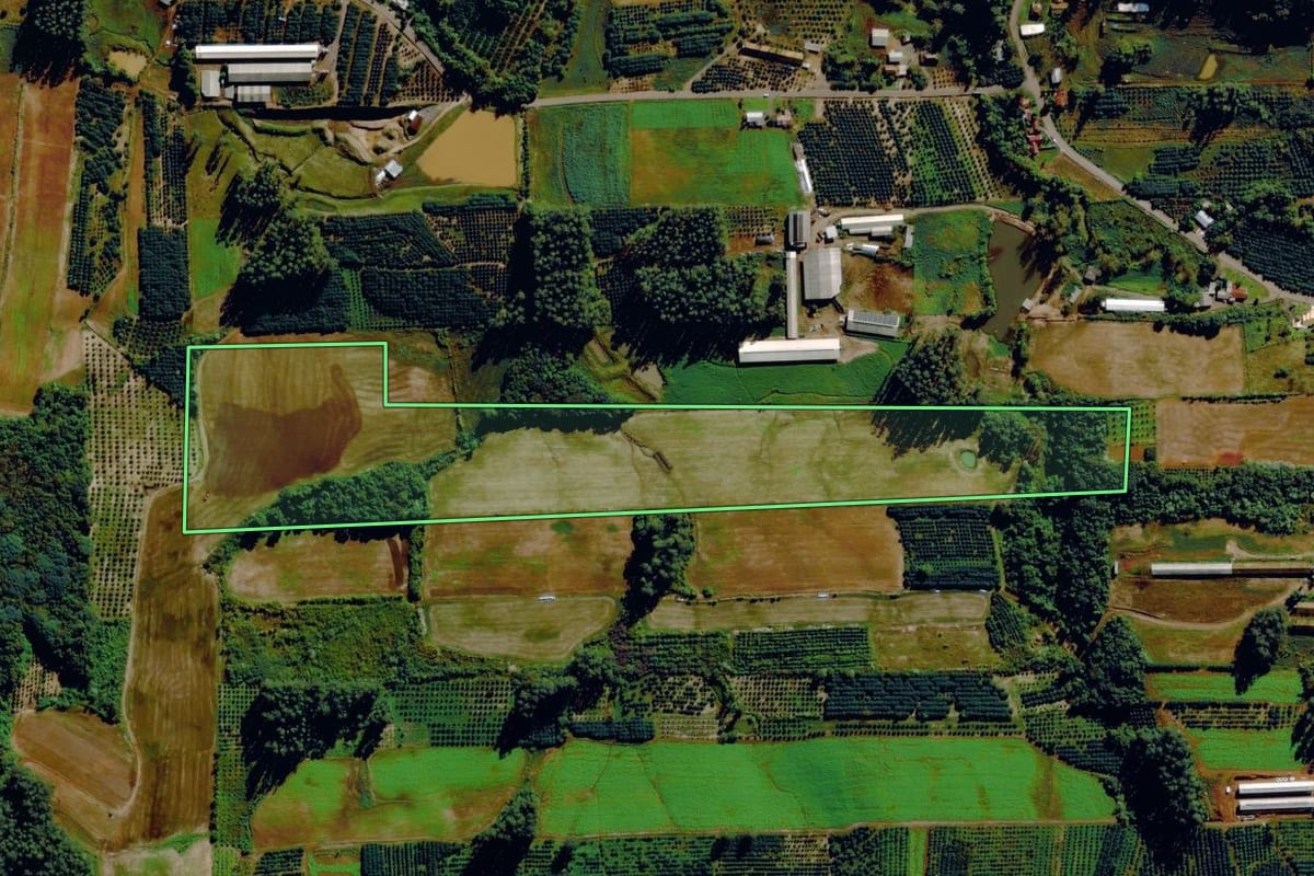 Imagem de satélite do imóvel rural em Harmonia (RS), com o contorno declarado no CAR desenhado por cima.