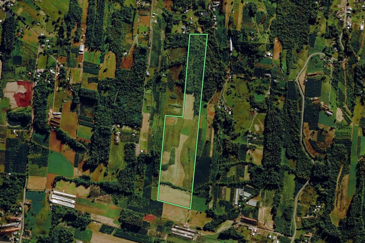 Imagem de satélite do imóvel rural em Harmonia (RS), com o contorno declarado no CAR desenhado por cima.