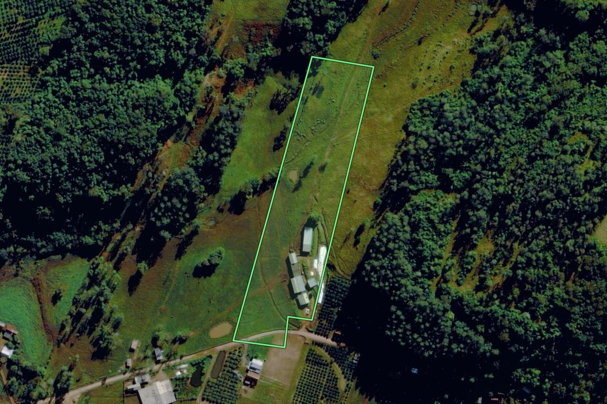 Imagem de satélite do imóvel rural em Harmonia (RS), com o contorno declarado no CAR desenhado por cima.