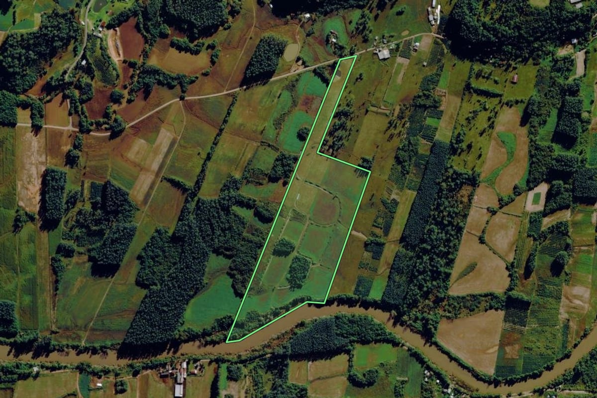 Imagem de satélite do imóvel rural em Harmonia (RS), com o contorno declarado no CAR desenhado por cima.