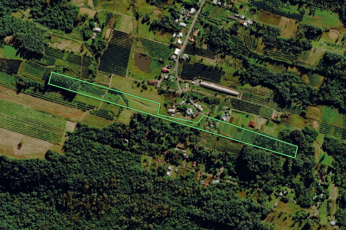 Imagem de satélite do imóvel rural em Harmonia (RS), com o contorno declarado no CAR desenhado por cima.