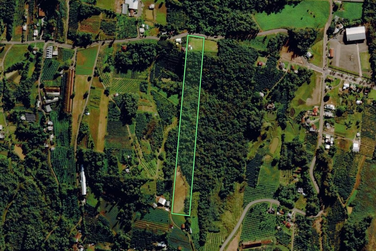 Imagem de satélite do imóvel rural em Harmonia (RS), com o contorno declarado no CAR desenhado por cima.