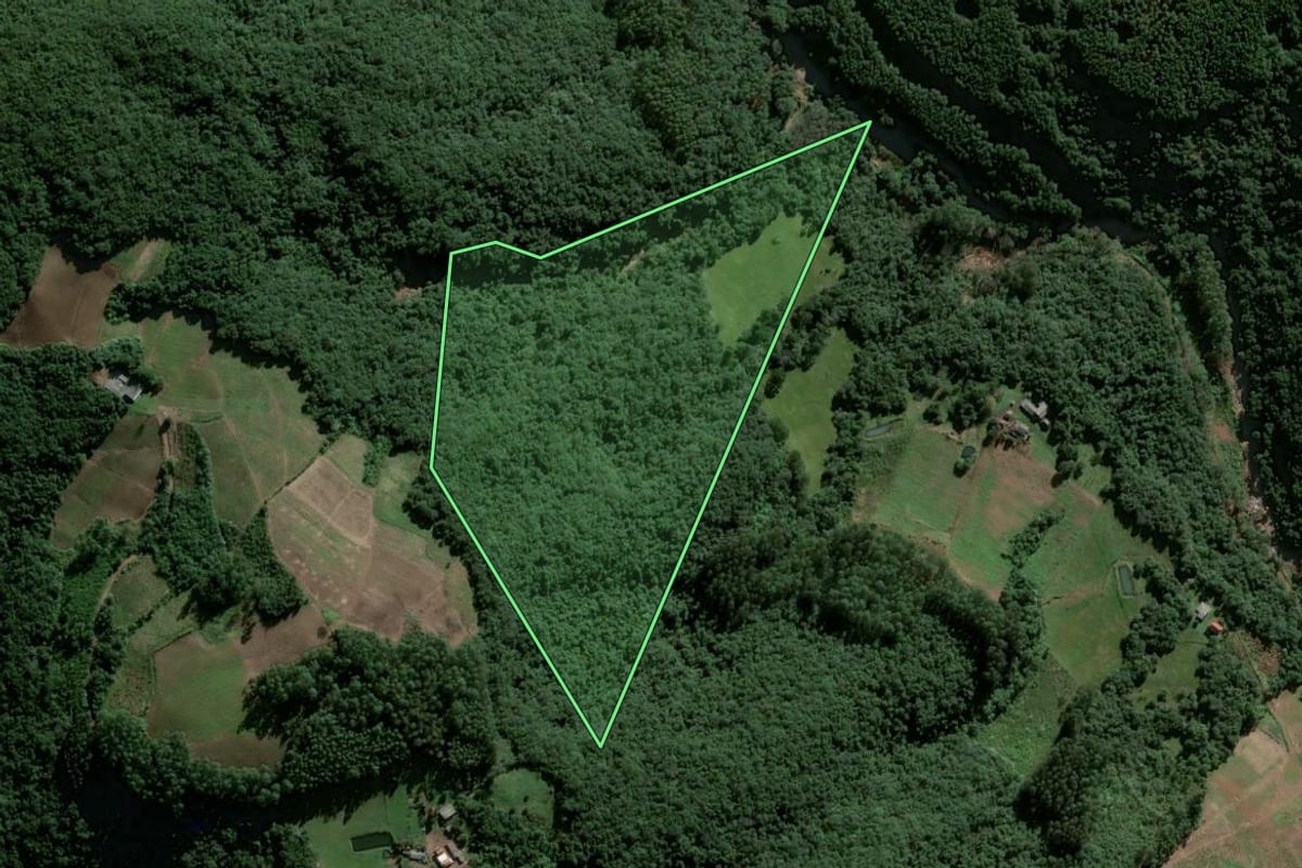Imagem de satélite do imóvel rural em Herveiras (RS), com o contorno declarado no CAR desenhado por cima.