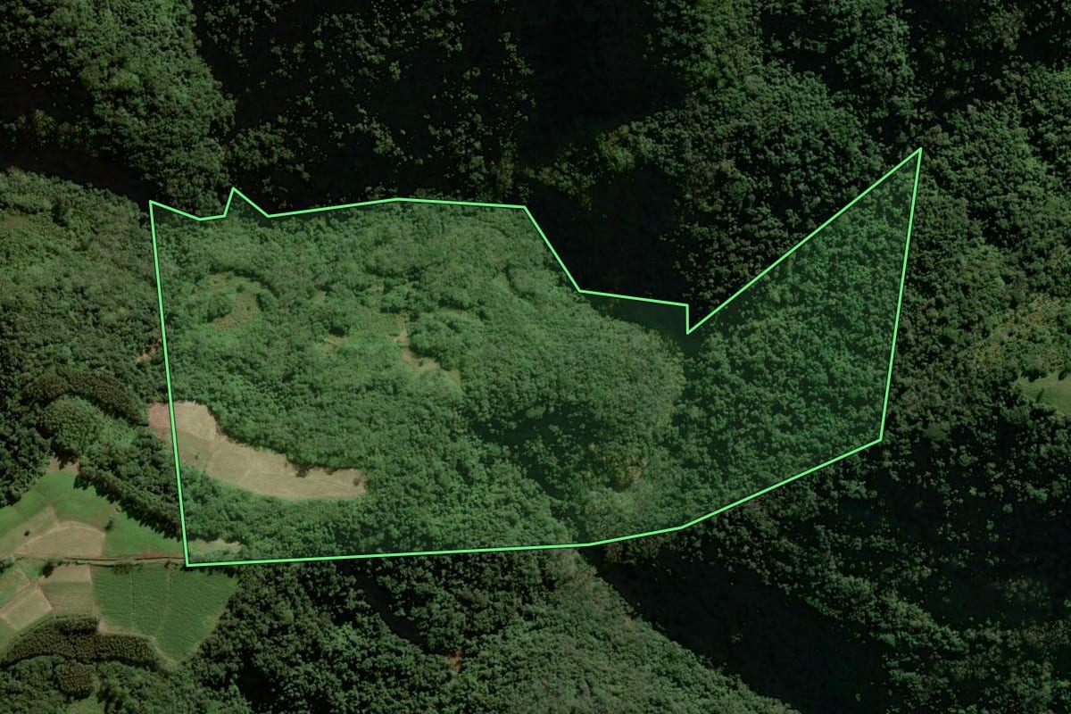 Imagem de satélite do imóvel rural em Herveiras (RS), com o contorno declarado no CAR desenhado por cima.