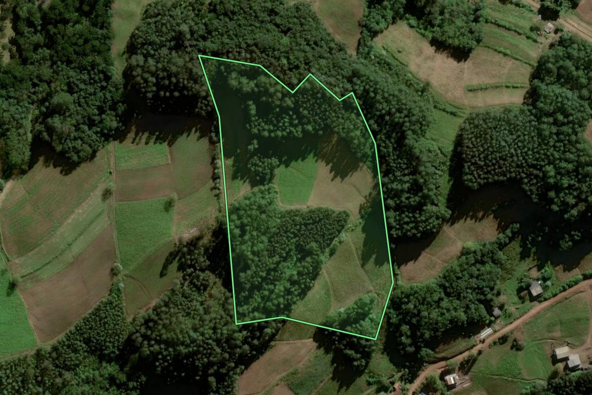 Imagem de satélite do imóvel rural em Herveiras (RS), com o contorno declarado no CAR desenhado por cima.
