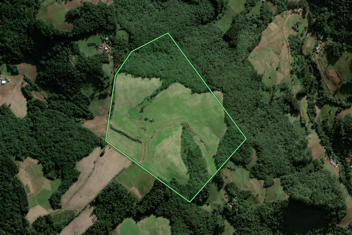 Imagem de satélite do imóvel rural em Herveiras (RS), com o contorno declarado no CAR desenhado por cima.