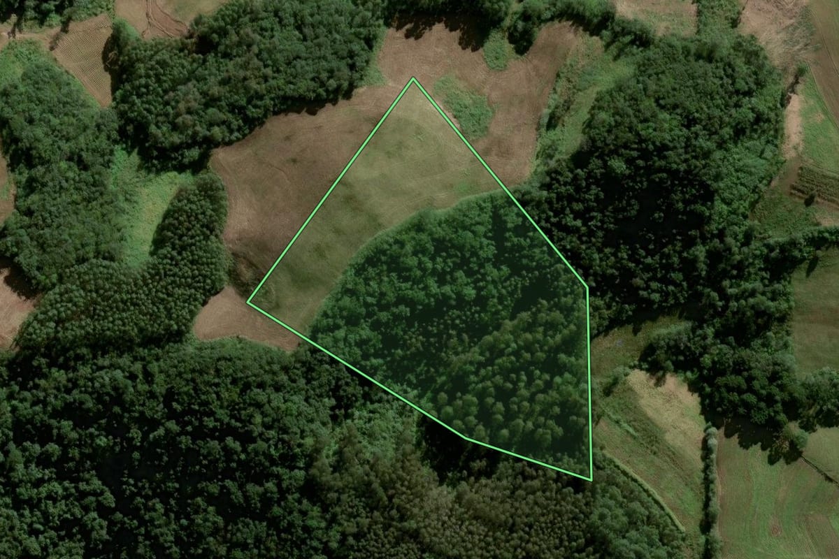 Imagem de satélite do imóvel rural em Herveiras (RS), com o contorno declarado no CAR desenhado por cima.