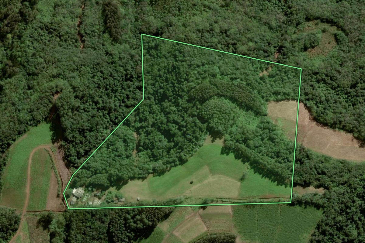 Imagem de satélite do imóvel rural em Herveiras (RS), com o contorno declarado no CAR desenhado por cima.
