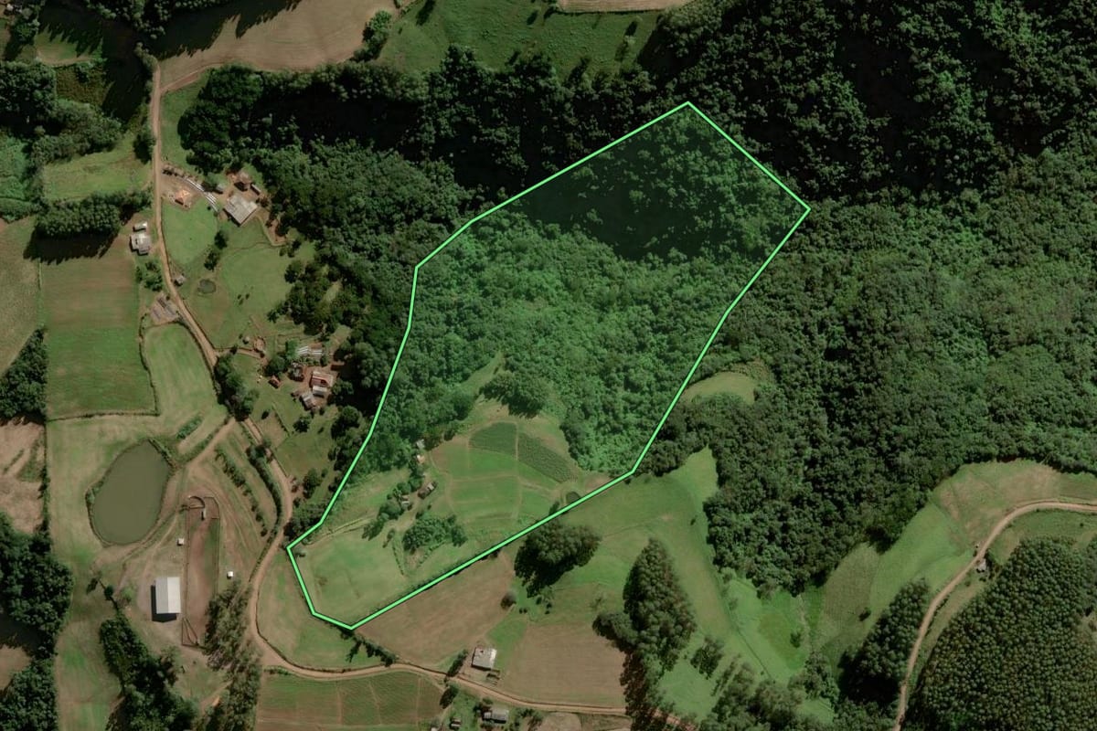 Imagem de satélite do imóvel rural em Herveiras (RS), com o contorno declarado no CAR desenhado por cima.