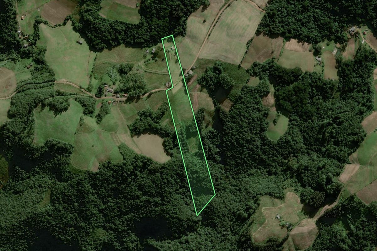 Imagem de satélite do imóvel rural em Herveiras (RS), com o contorno declarado no CAR desenhado por cima.