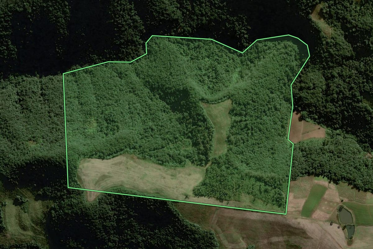 Imagem de satélite do imóvel rural em Herveiras (RS), com o contorno declarado no CAR desenhado por cima.