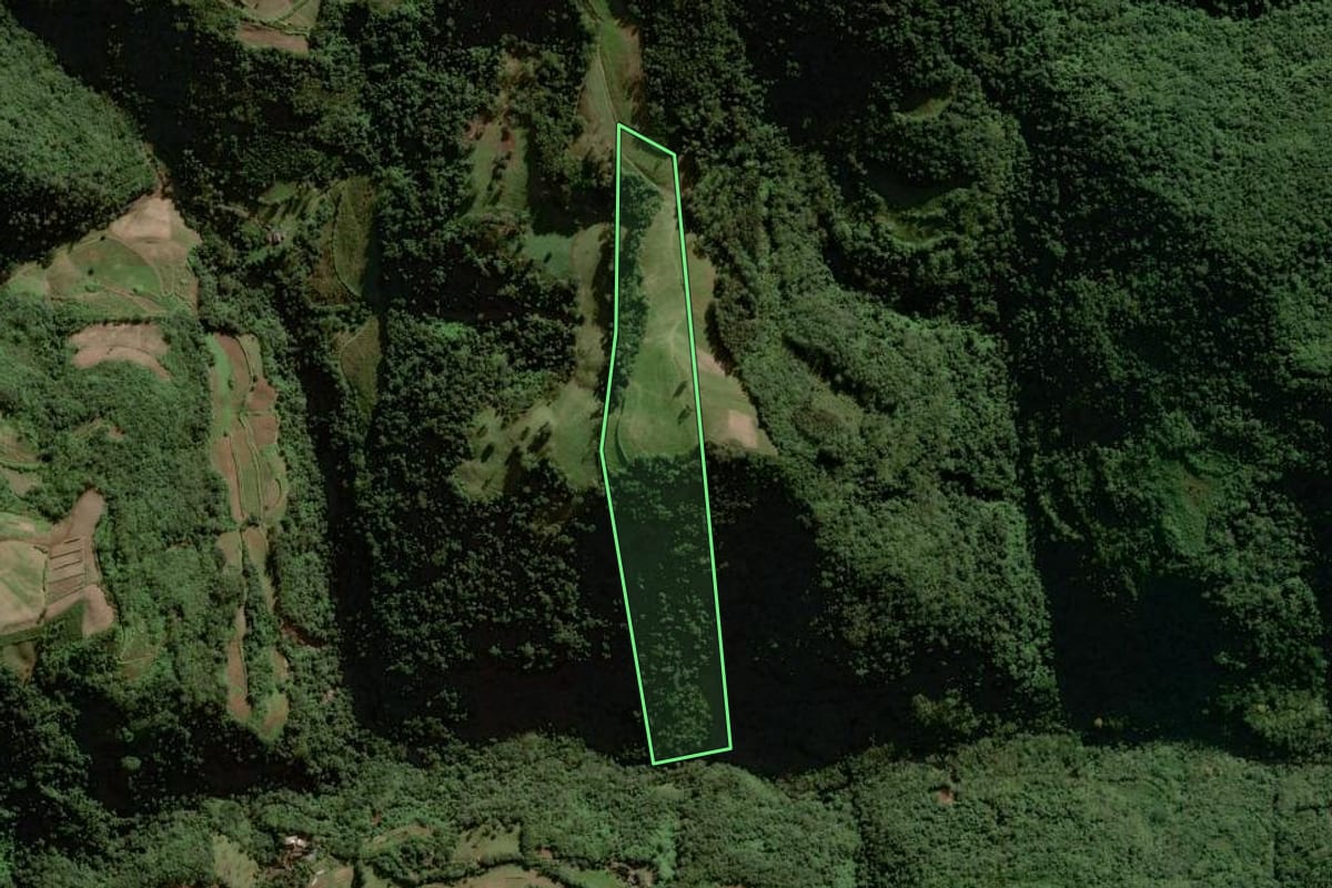 Imagem de satélite do imóvel rural em Herveiras (RS), com o contorno declarado no CAR desenhado por cima.