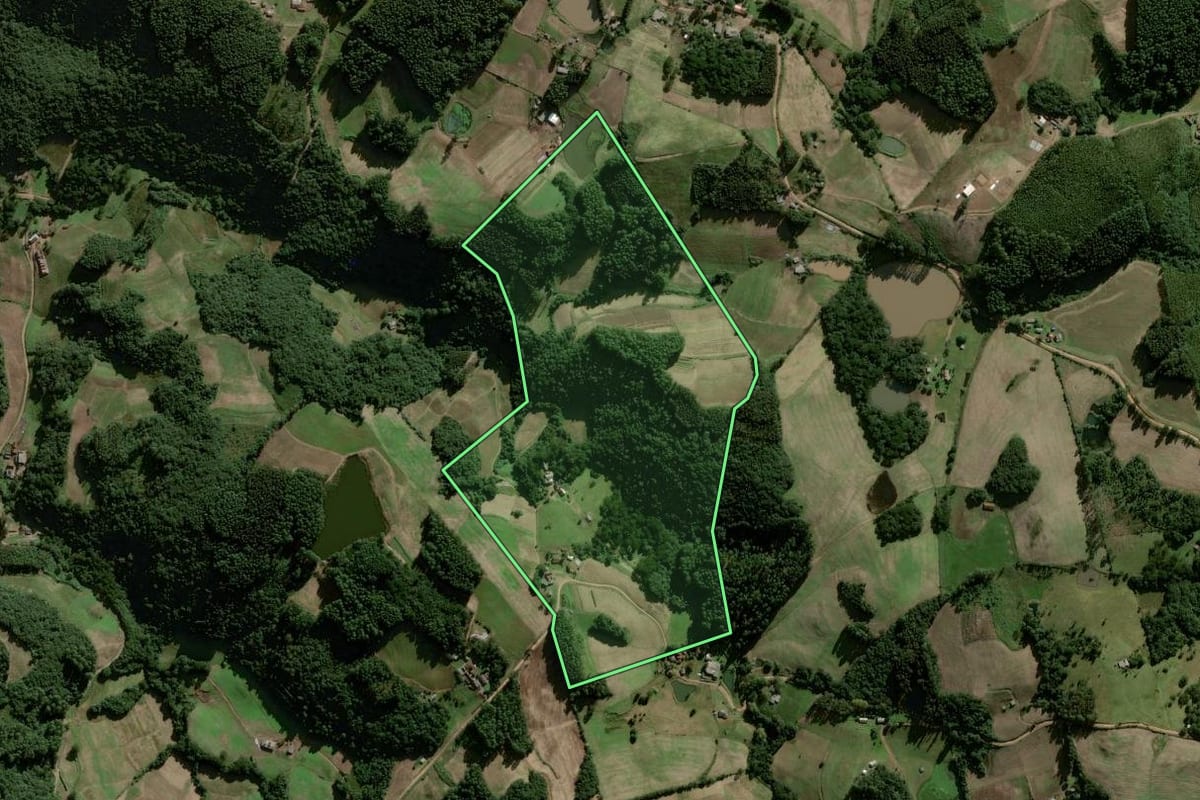 Imagem de satélite do imóvel rural em Herveiras (RS), com o contorno declarado no CAR desenhado por cima.