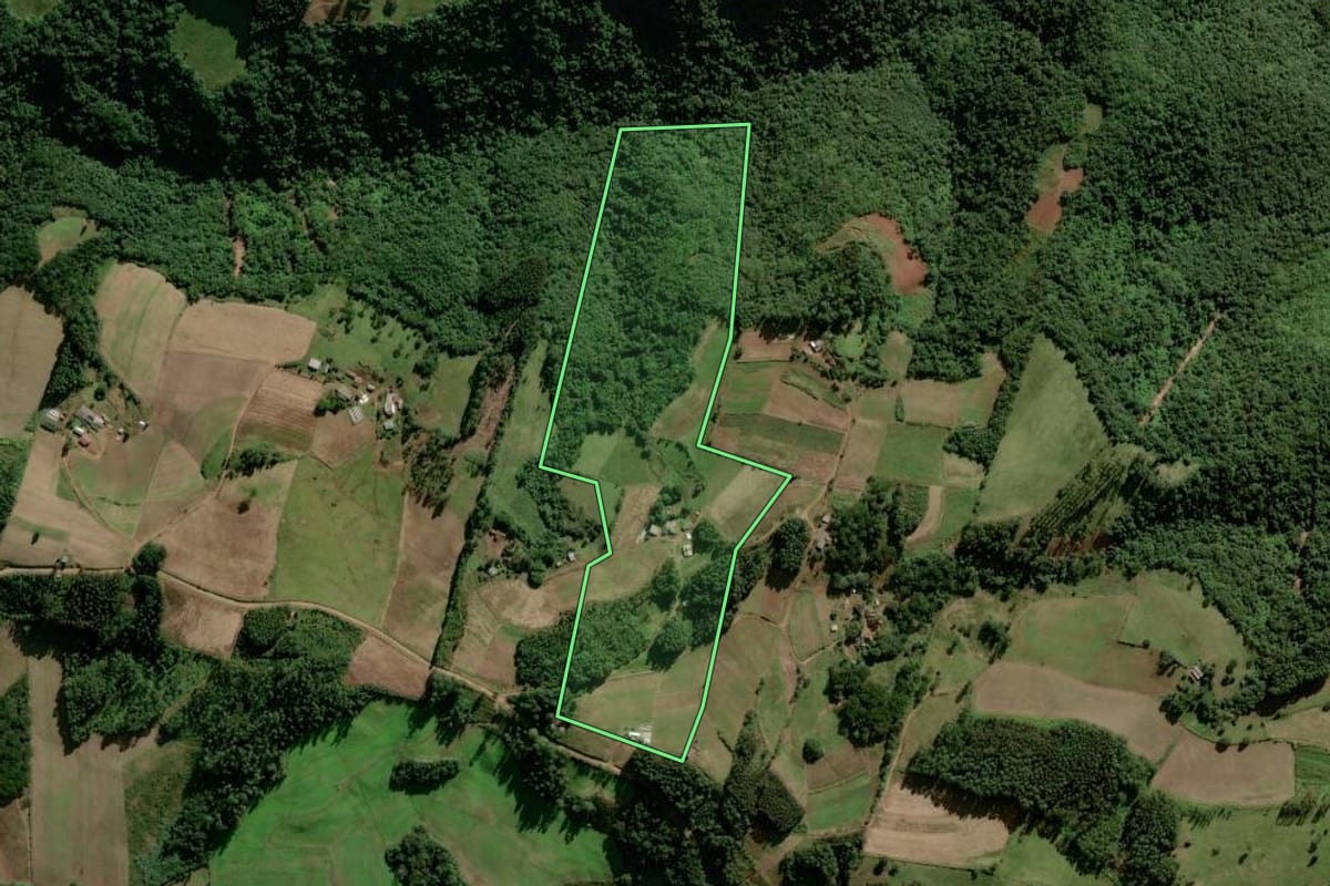 Imagem de satélite do imóvel rural em Herveiras (RS), com o contorno declarado no CAR desenhado por cima.