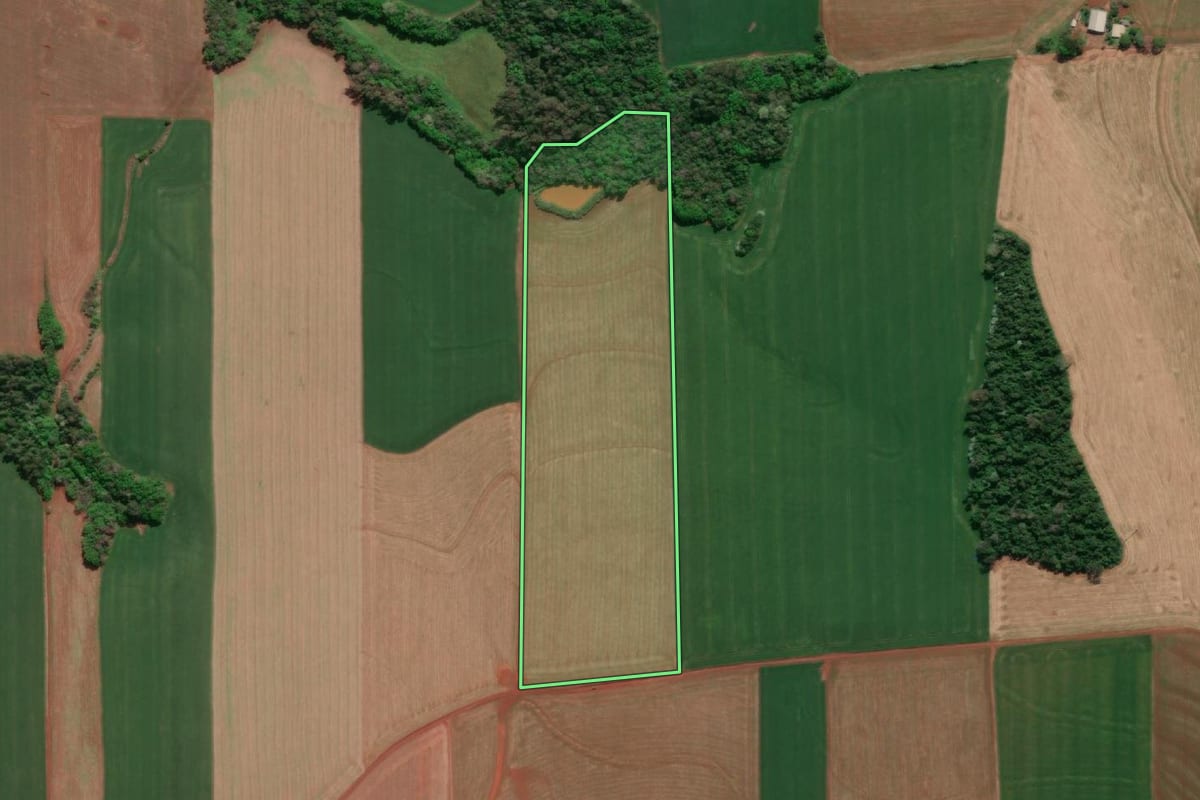 Imagem de satélite do imóvel rural em Horizontina (RS), com o contorno declarado no CAR desenhado por cima.