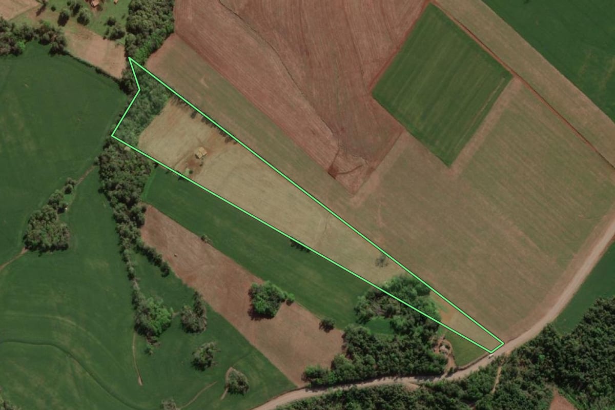 Imagem de satélite do imóvel rural em Horizontina (RS), com o contorno declarado no CAR desenhado por cima.