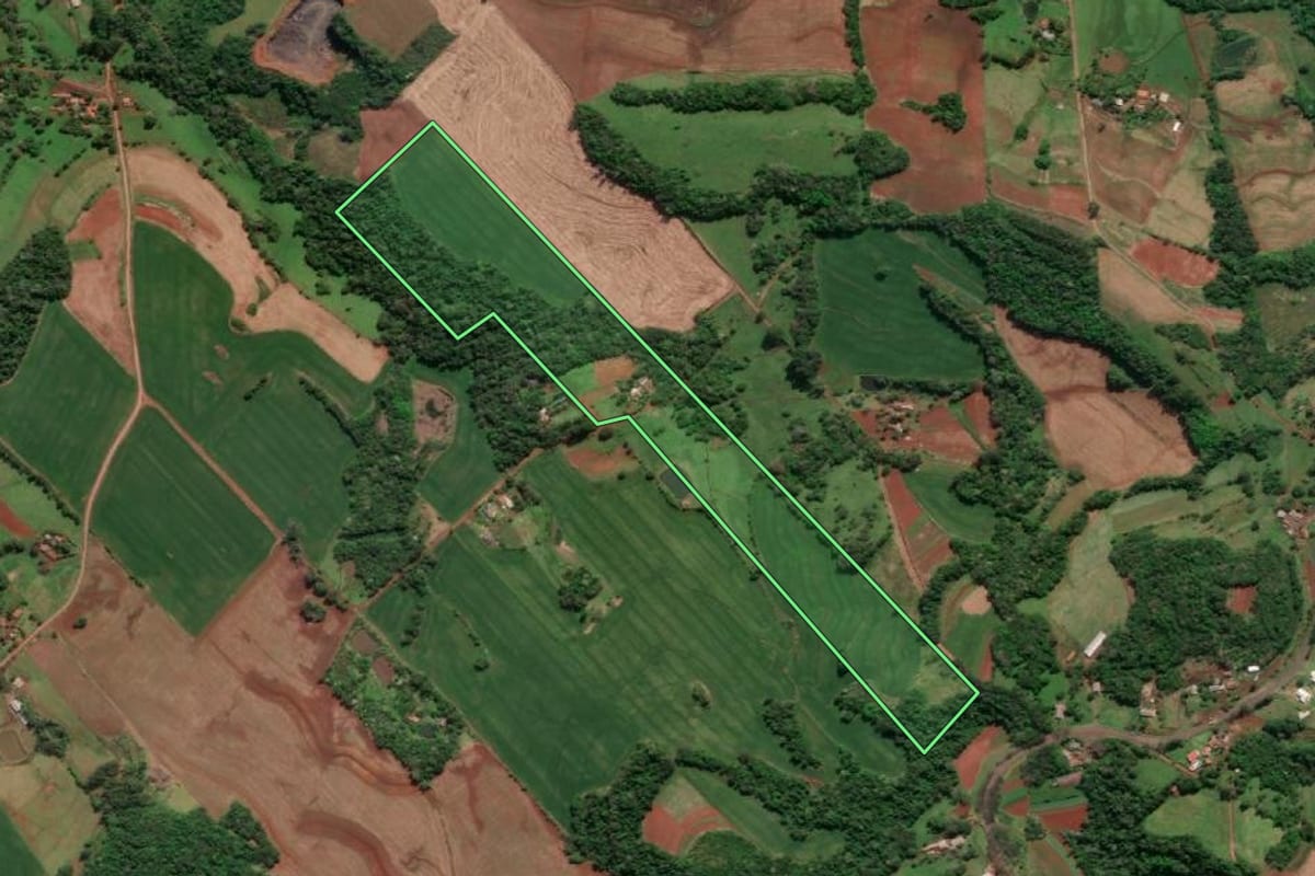 Imagem de satélite do imóvel rural em Horizontina (RS), com o contorno declarado no CAR desenhado por cima.