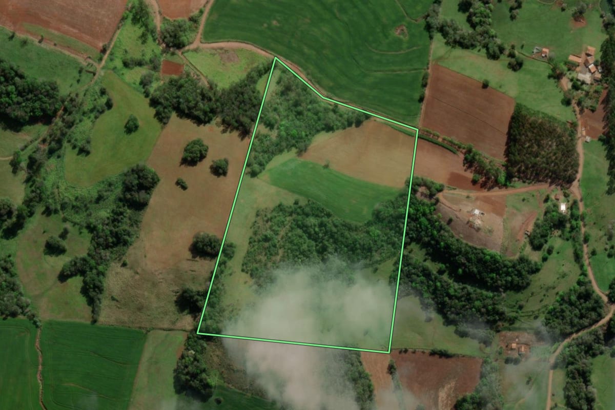 Imagem de satélite do imóvel rural em Horizontina (RS), com o contorno declarado no CAR desenhado por cima.